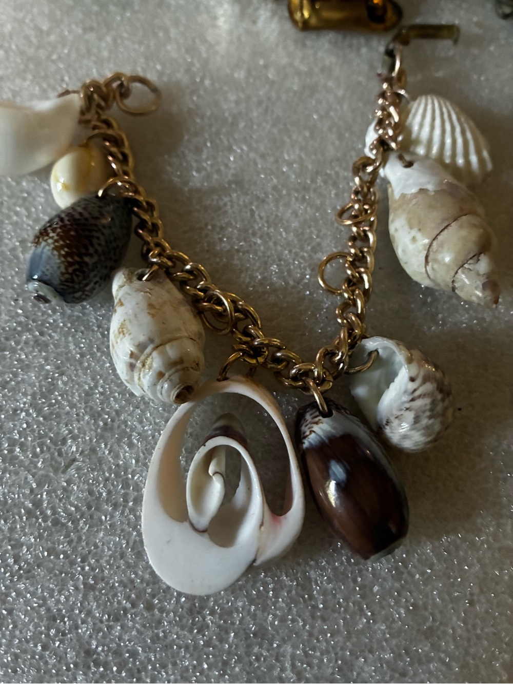 Shell Charm Bracelet in White and Brown -gold plated